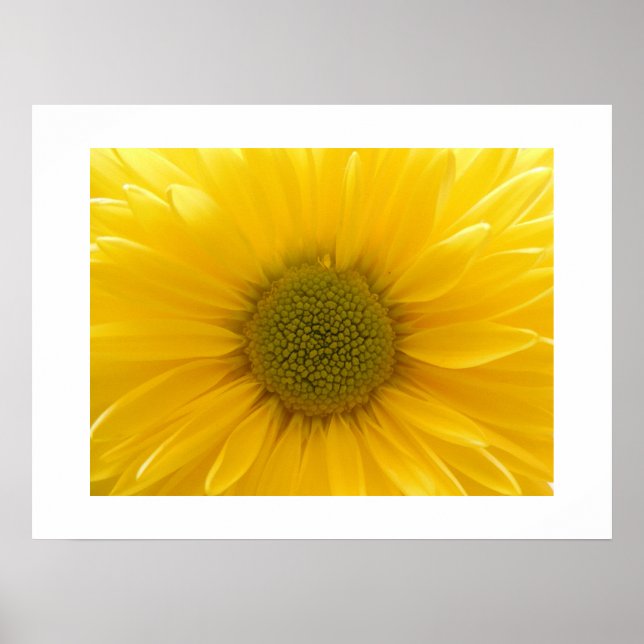 Poster de Mãe amarela (Frente)