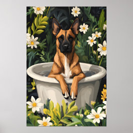 Poster de Malinois Belga na Banheira, Cachorro Eng