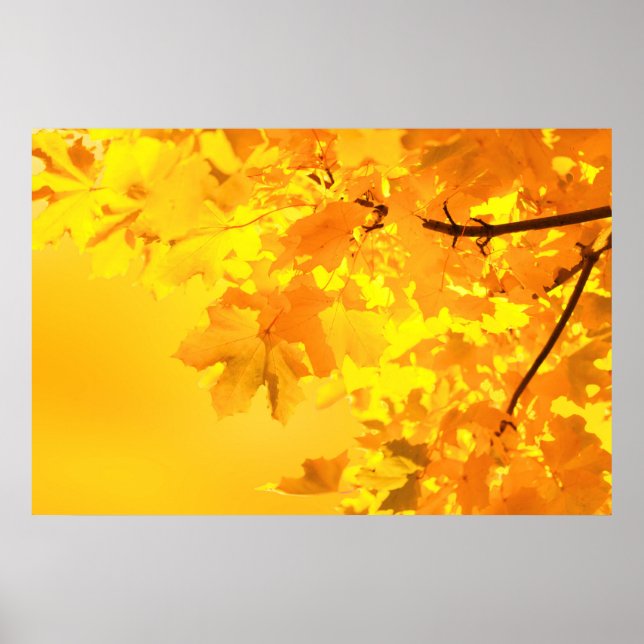 Poster de Mapeamento Amarelo (Frente)