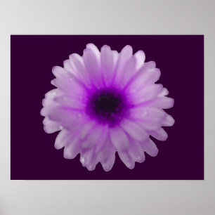 Poster de Marigold branco e roxo