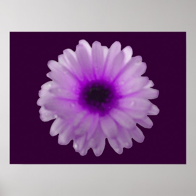 Poster de Marigold branco e roxo (Frente)