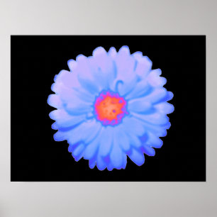 Poster de Marigold quente e frio