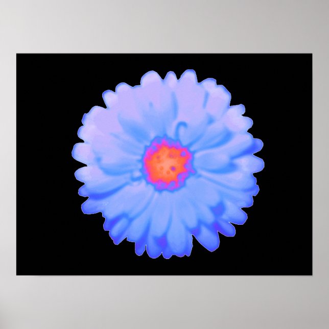 Poster de Marigold quente e frio (Frente)