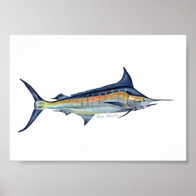 Poster de Marlin Azul (Frente)