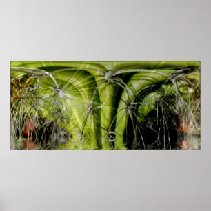 Poster de Medicina Tribal