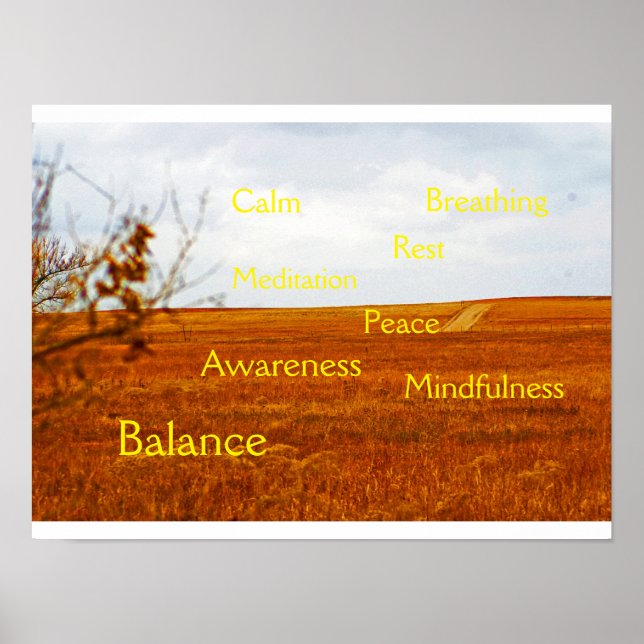 Poster de Meditação e Hemorragia V (Frente)