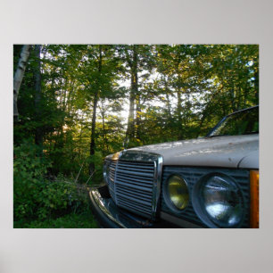Poster de Mercedes W123