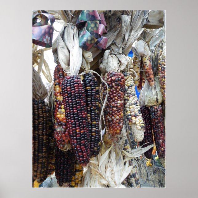 Poster de milho indiano (Frente)