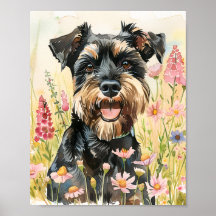Poster de Miniatura Schnauzer - Impressão de Arte 