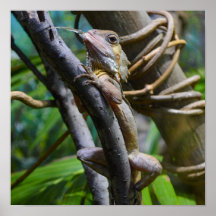 Poster de monitor de água de Merten