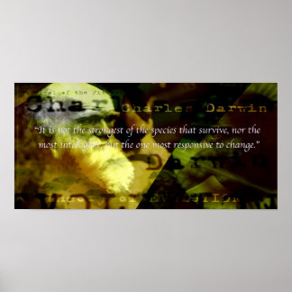 Poster de Motivação