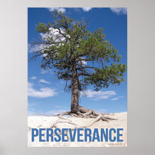 Poster de Motivação de Árvore Perseverante