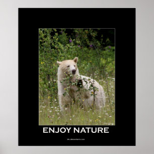 Poster de Motivação do Urso Kermode