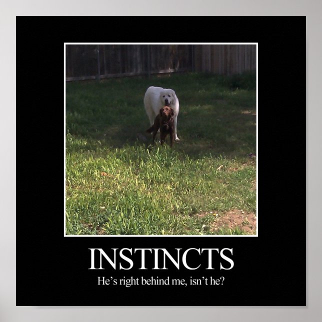 Poster de Motivação, INSTINCTS (Frente)