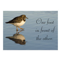 Poster de motivação para pássaro Sandpiper