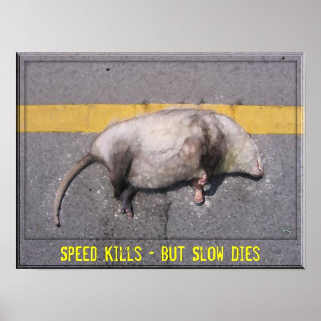 Poster de Motivação Roadkill (Frente)