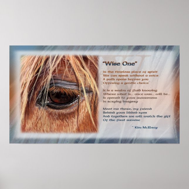 Poster de motivação Wise One © Kim McElroy (Frente)