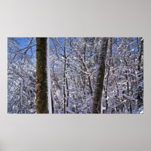 Poster de Muro de inverno Gelo e Árvores de Neve