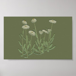 Poster de Muro Verde Daisy