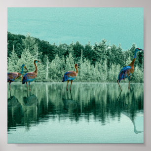 Poster De Música Água