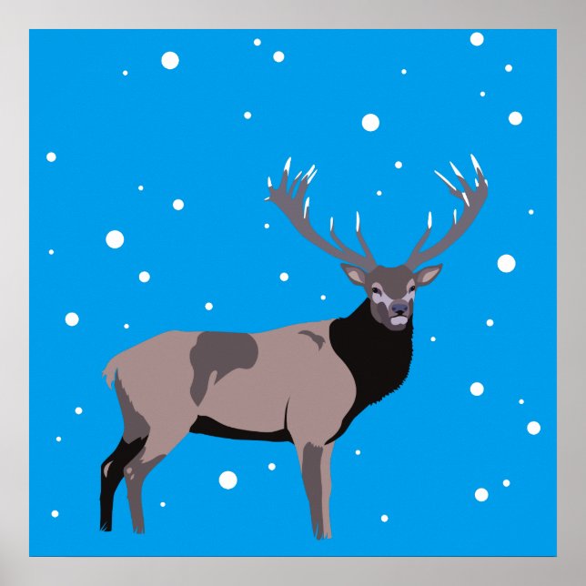 Poster de Neve (Frente)