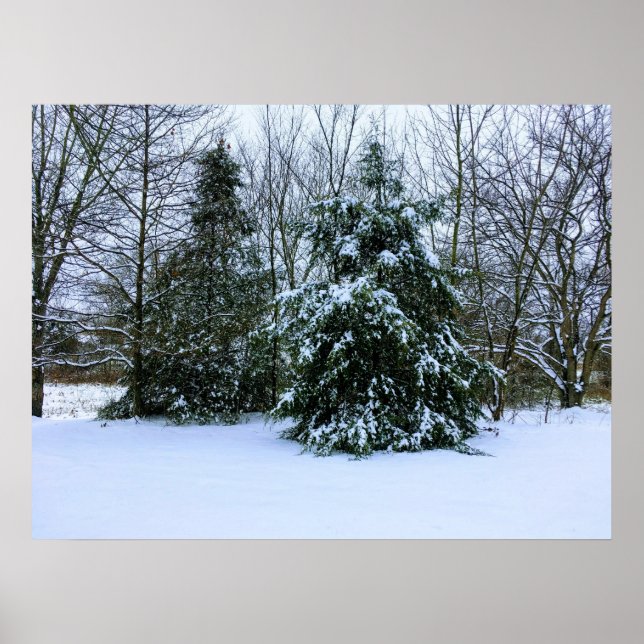 Poster de neve fresca de inverno (Frente)