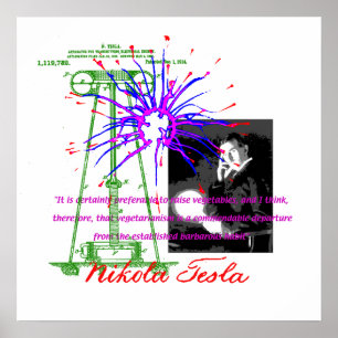 Poster de Nikola Tesla