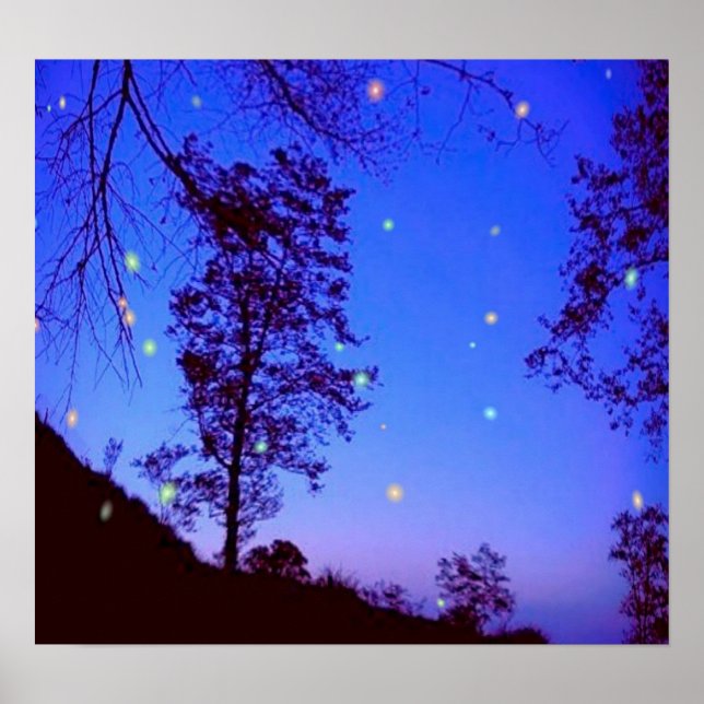 Poster de Noite Encantado (Frente)