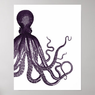 Poster de Octopus Moderno Roxo
