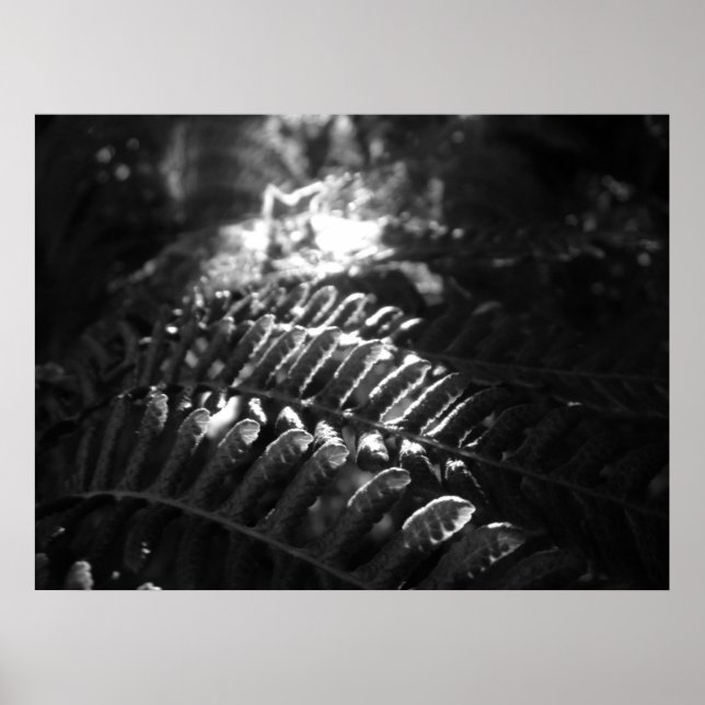 Poster de Olhar para a Luz (Frente)