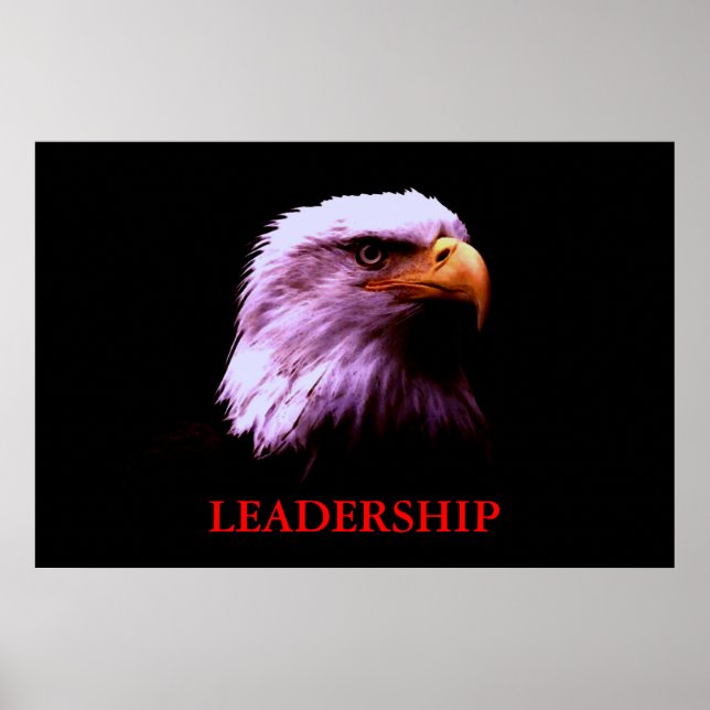 Poster de Olhos de Liderança Motivada (Frente)