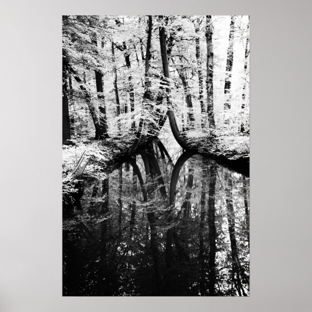 Poster de onda de contraste reflexiva (Frente)