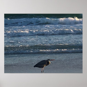 Poster de onda de praia