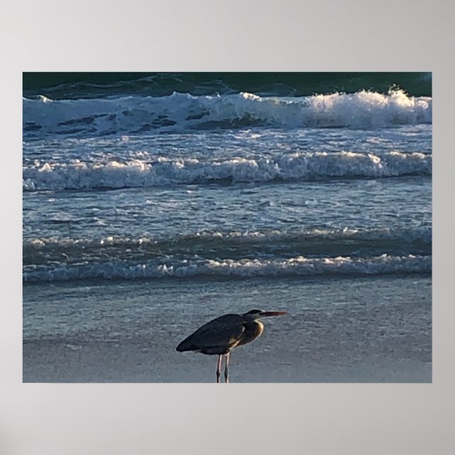 Poster de onda de praia (Frente)