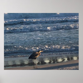 Poster de onda de praia