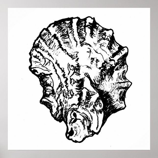 Poster de Ostra Negra e Branca (Frente)