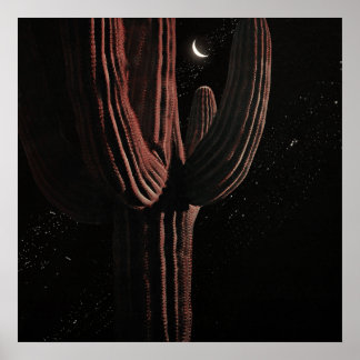 Poster De Outro Mundo — Nº 17