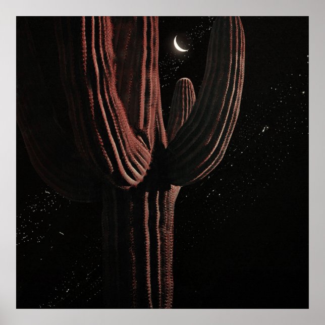 Poster De Outro Mundo — Nº 17 (Frente)