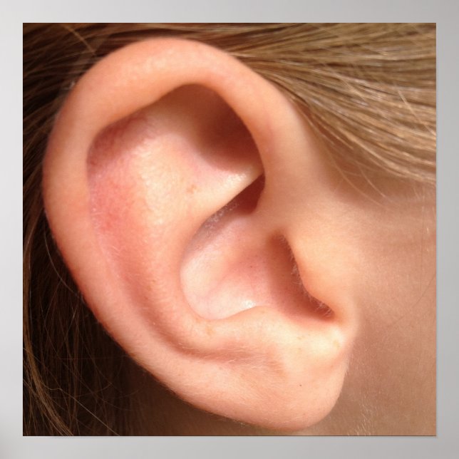 Poster de Ouvido (Frente)