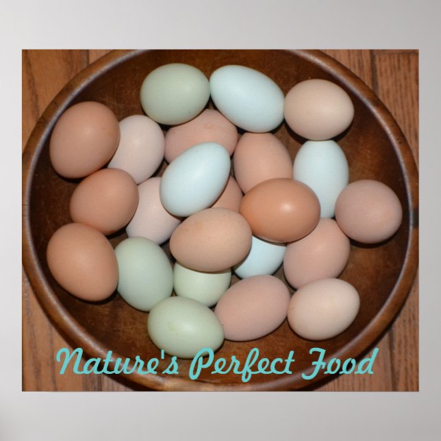 Poster de ovos nutritivos (Frente)