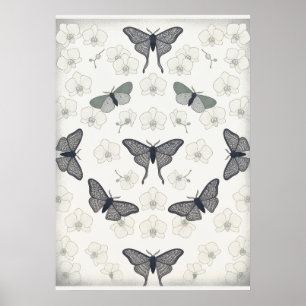 Poster de Padrão de Orquídea de Marfim de Mariposa
