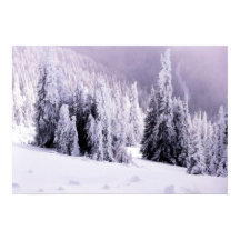 Poster de paisagem coberta por neve