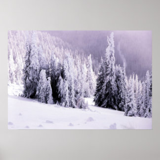 Poster de paisagem coberta por neve