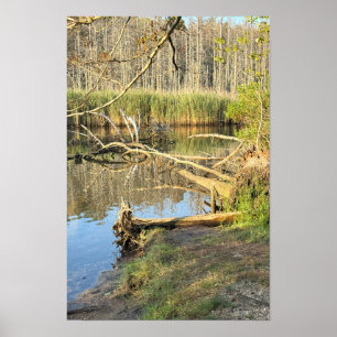 Poster de Paisagem de Árvores Inclinadas