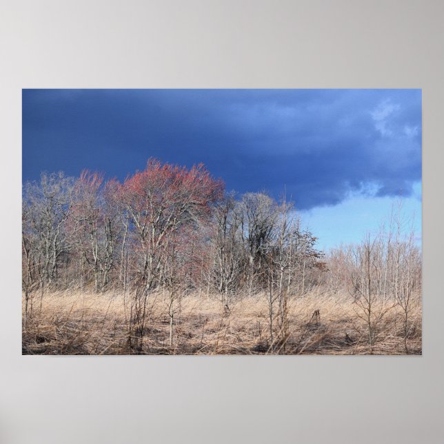 Poster de Paisagem Nublada (Frente)