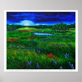 Poster de Paisagem Texas