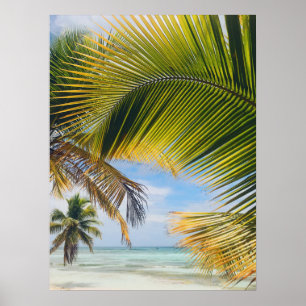 poster de Palms de praia