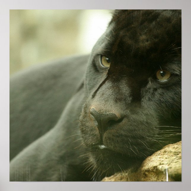 Poster de pano de dormir (Frente)