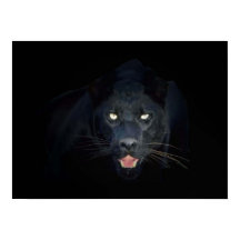 Poster de pântano preto