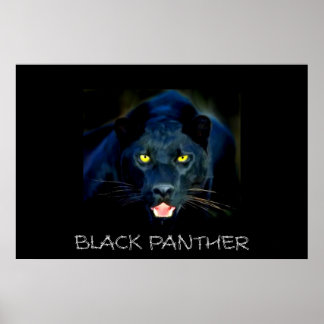 Poster de Pantera Preta